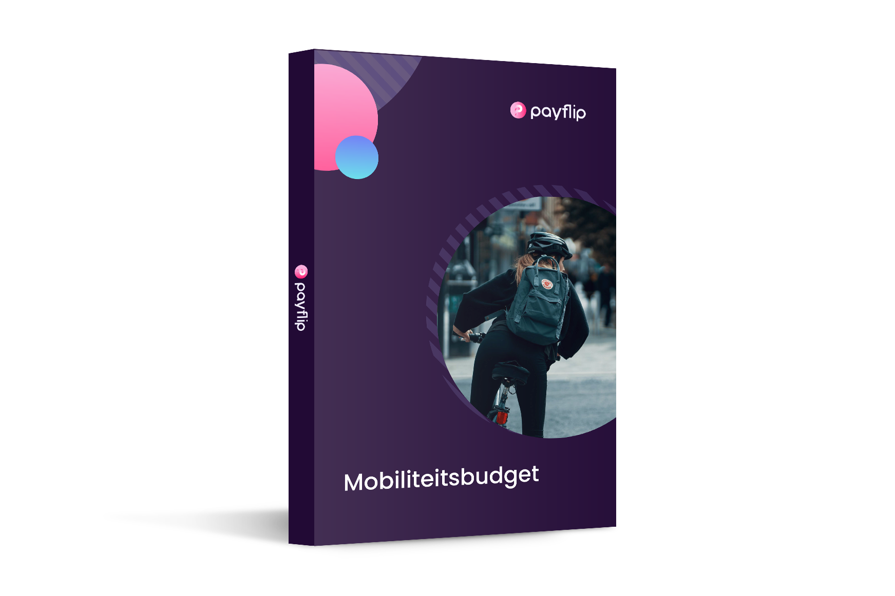 Mobiliteitsbudget ebook